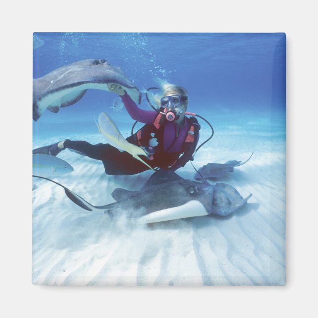 Imã Stingray City, Grand Cayman, Ilhas Cayman, (Frente)