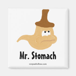 Imã Stomach Magnet