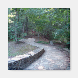 Imã Stone Walkway East Ridge Trail Amicalola Magnet