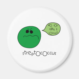 Imã Streptococcus