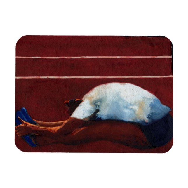 Ímã Stretch 2011 (Horizontal)