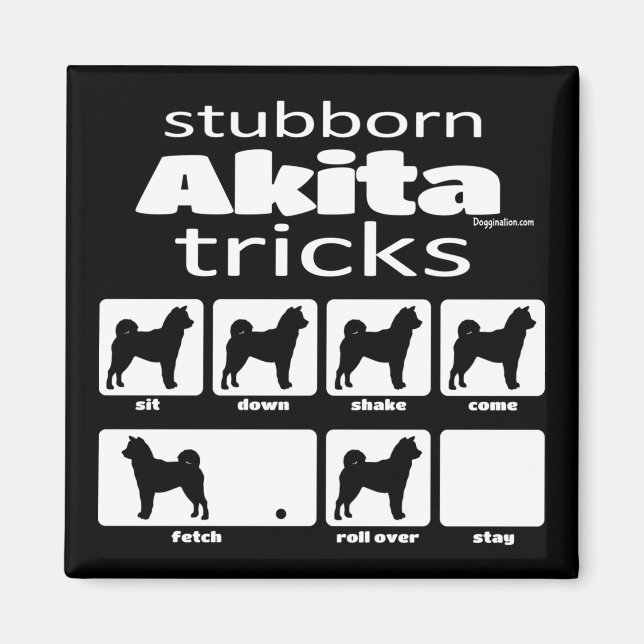 Imã Stubborn Akita Tricks (Frente)