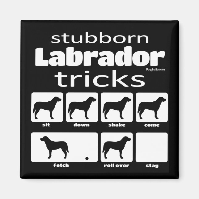Imã Stubborn Labrador Tricks (Frente)