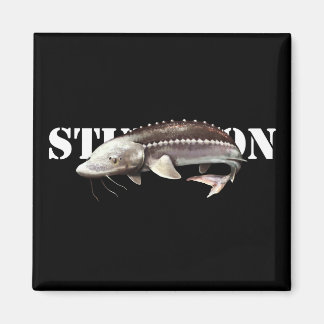 Imã Sturgeon