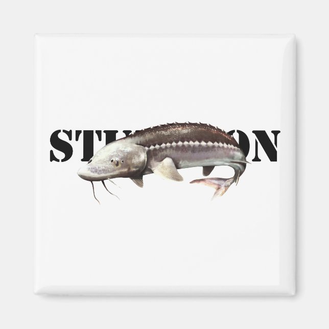 Imã Sturgeon (Frente)