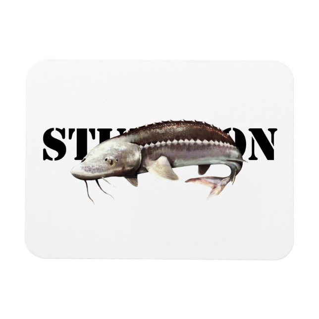Ímã Sturgeon (Horizontal)