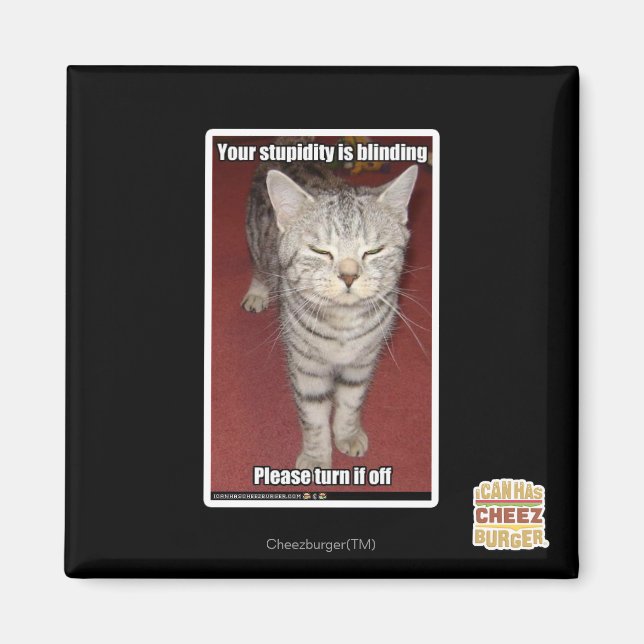 Imã Sua estupidez está cegando 2 (Frente)