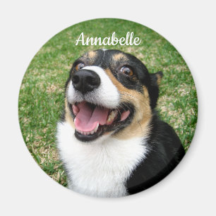 Imã Sua Foto Personalizada De Pet Adicione Seu Cachorr