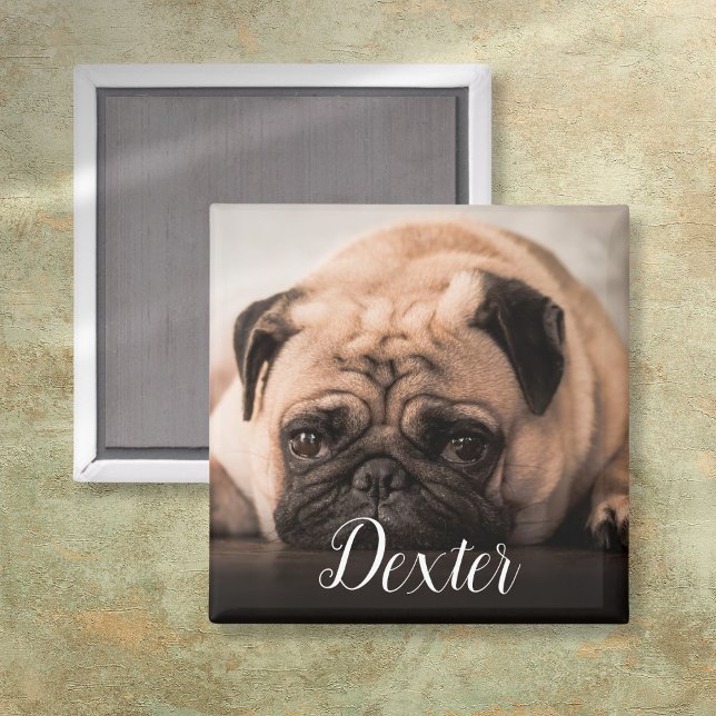 Imã Sua Foto Pet Favorita (Personalized Dog Cat Pet Photo Script Name Magnet)