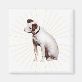 Imã Sua Voz Mestra Brilhando