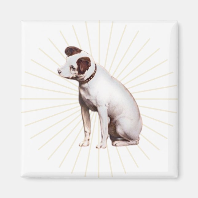 Imã Sua Voz Mestra Brilhando (Frente)