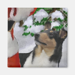 Imã Suave presentes de Natal Collie