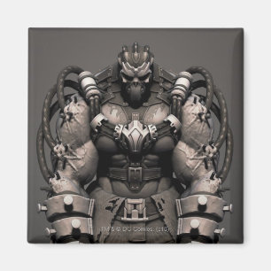 Imã Substituição da amargura