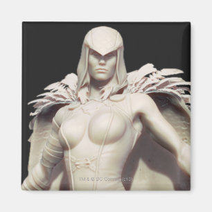 Imã Substituição do corvo