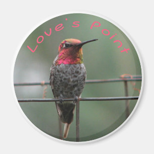 Imã Subtítulo do ponto do amor do ímã do colibri