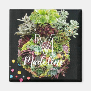 Imã Sucultivos Decorativos