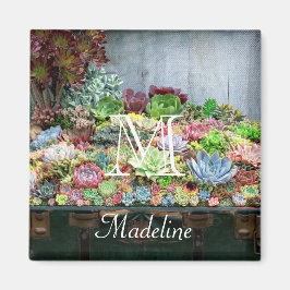 Imã Sucultivos no tesouro