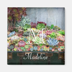 Imã Sucultivos no Treasure Chest