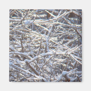 Imã Sucursais de gelo em neve no inverno