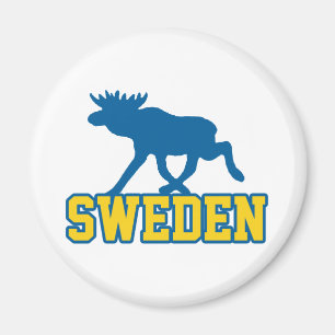 Imã Suecia