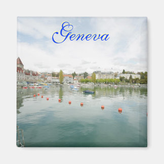 Imã Suiça, geneva magnet
