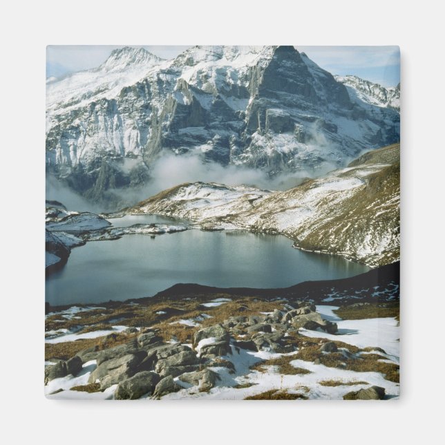 Imã Suiça, Grindelwald, Alpes Berneses, Vista (Frente)