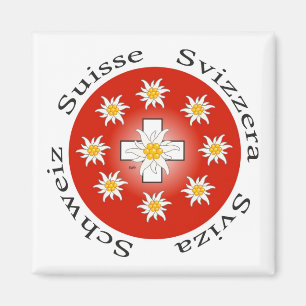 Imã Suíça Suisse Svizzera Svizra Switzerland íman