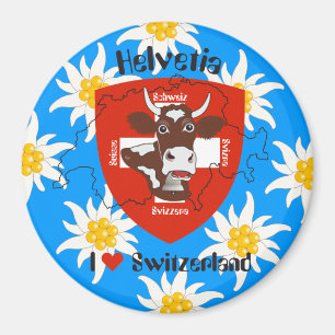 Imã Suíça Suisse Svizzera Svizra Switzerland íman