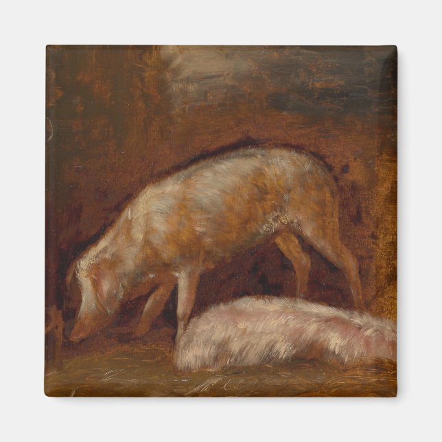 Imã Suínos numa Arte Animal Estável (Frente)