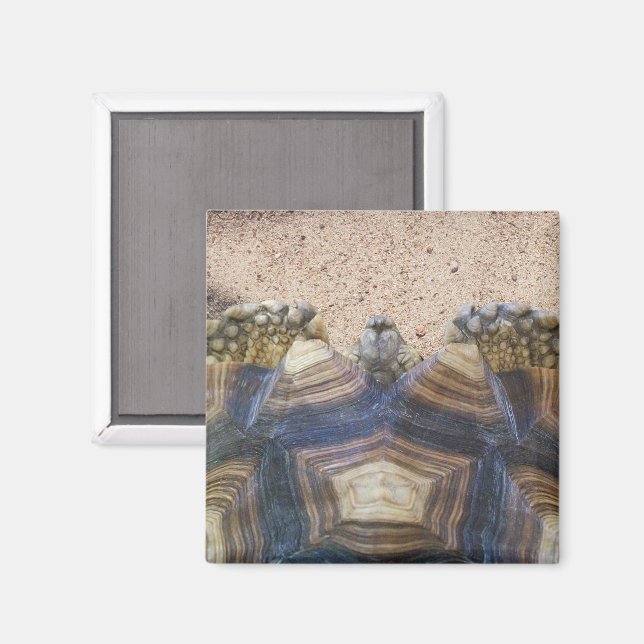 Imã Sulcata Tortoise e Sand (Front/Back)