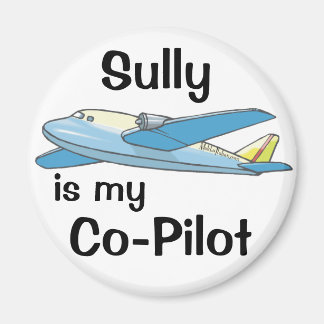 Imã Sully É Meu Co-Piloto