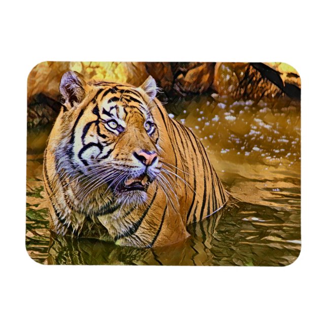 Ímã Sumatran Tiger em pintura aquática (Horizontal)