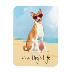 Ímã Summer Basenji Magnet
