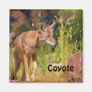 Imã Summer Coyote Wildlife Painting