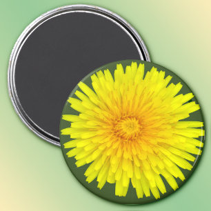 Imã Summer Dandelion Magnet
