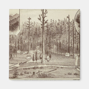 Imã Summer Home, residência de Lewis