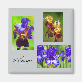 Imã Summer Iris Magnet