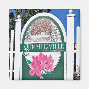 Imã Summerville, Charleston, Carolina do Sul, Magnet