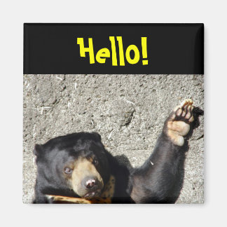 Imã Sun Bear Hello Magnet