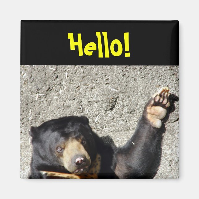 Imã Sun Bear Hello Magnet (Frente)