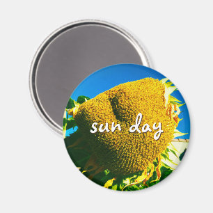 Imã Sun Day Cote Script Amarelo Sunflower Photo