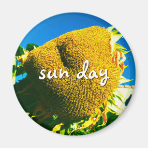 Imã Sun Day Cote Script Amarelo Sunflower Photo