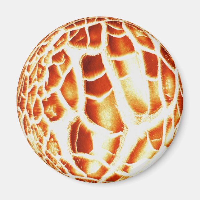 Imã Sun Photo Magnet (Frente)