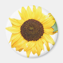 Imã SunFlower