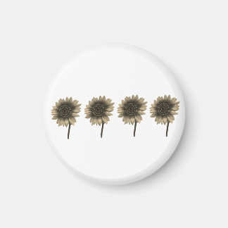 Imã Sunflower Live, Ria, Amor