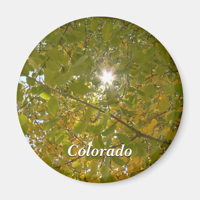 Imã Sunny Aspen (Frente)