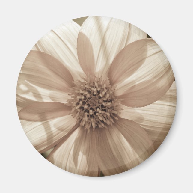 Imã Sunny Dahlia (Frente)