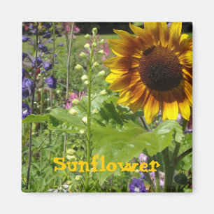 Imã Sunny Sunflower