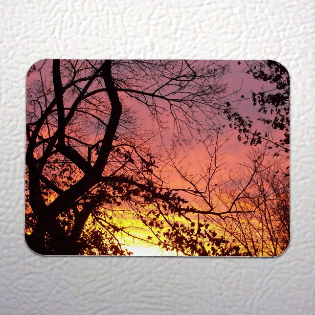 Ímã Sunset Colorido Através De Árvores Negras (Colorful Sunset Through Bare Trees Magnet on White Fridge)