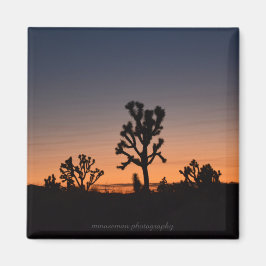 Imã Sunset Joshua Trees